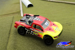 2015 DM 4WD Buggy 4WD Juni